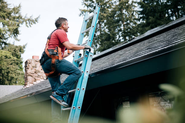 Roof Moss and Algae Removal in Cadott, WI