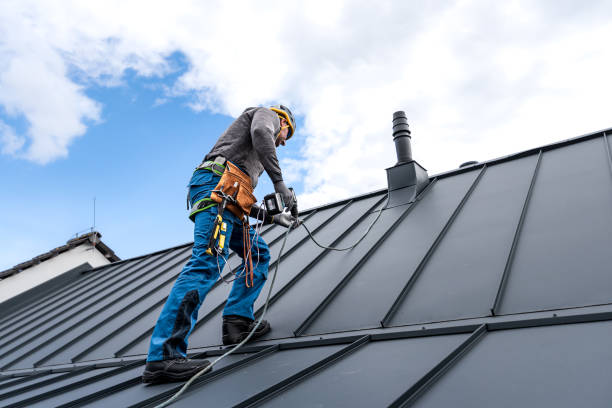 Best Roof Installation  in Cadott, WI