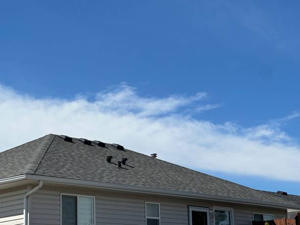 Best Steel Roofing  in Cadott, WI